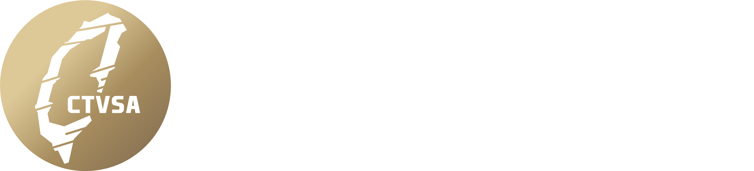 中華虛擬運動協會